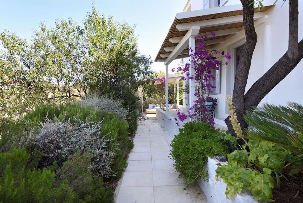 The Dutch Suite, Romantic Boutique Guesthouse 波多河丽 外观 照片